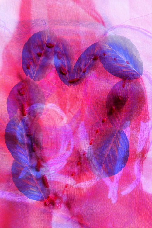 Chromatic Heart