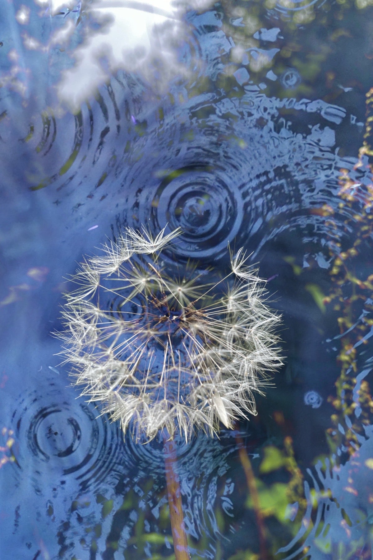 Ripples of Becoming